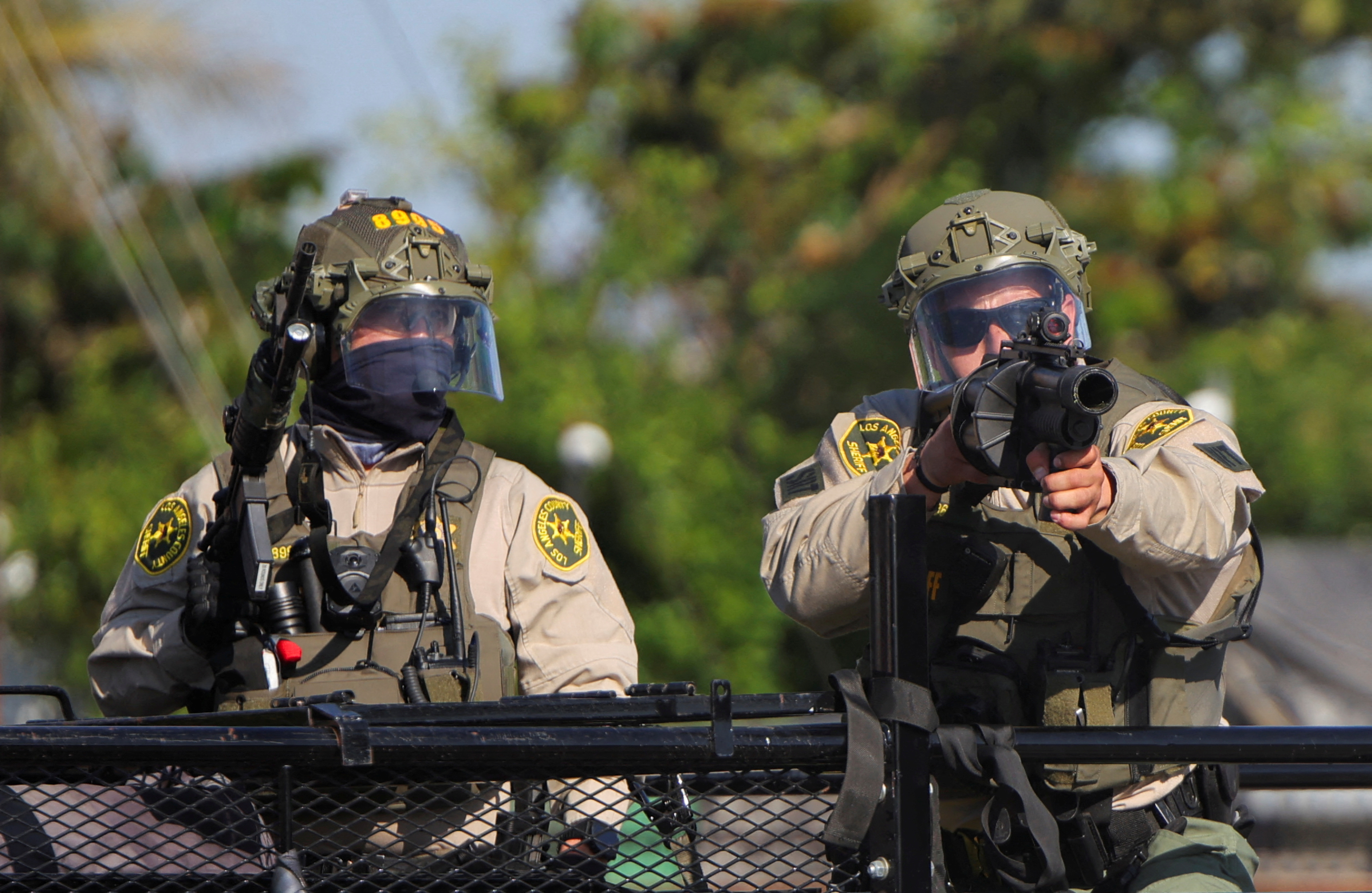 Why Federal Courts Might Side With DHS - visual representation