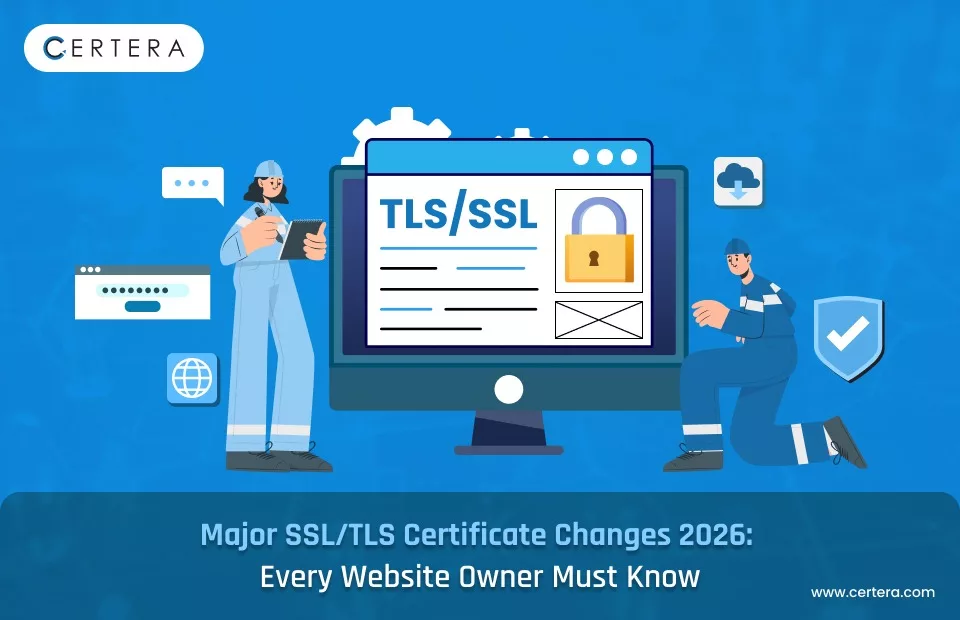 Conclusion - visual representation