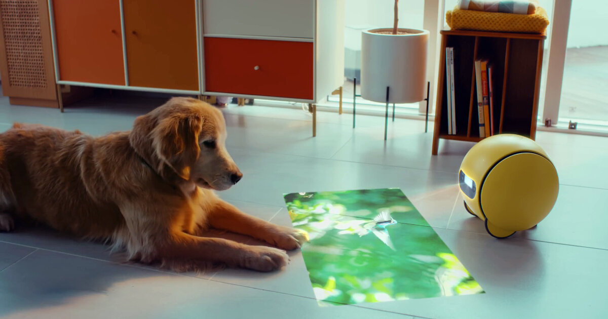 FAQ - visual representation