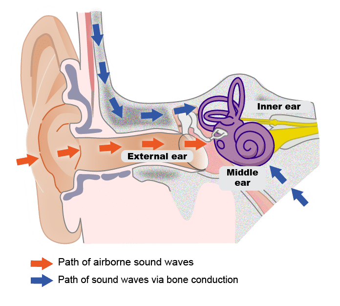Understanding Bone Conduction Technology - contextual illustration