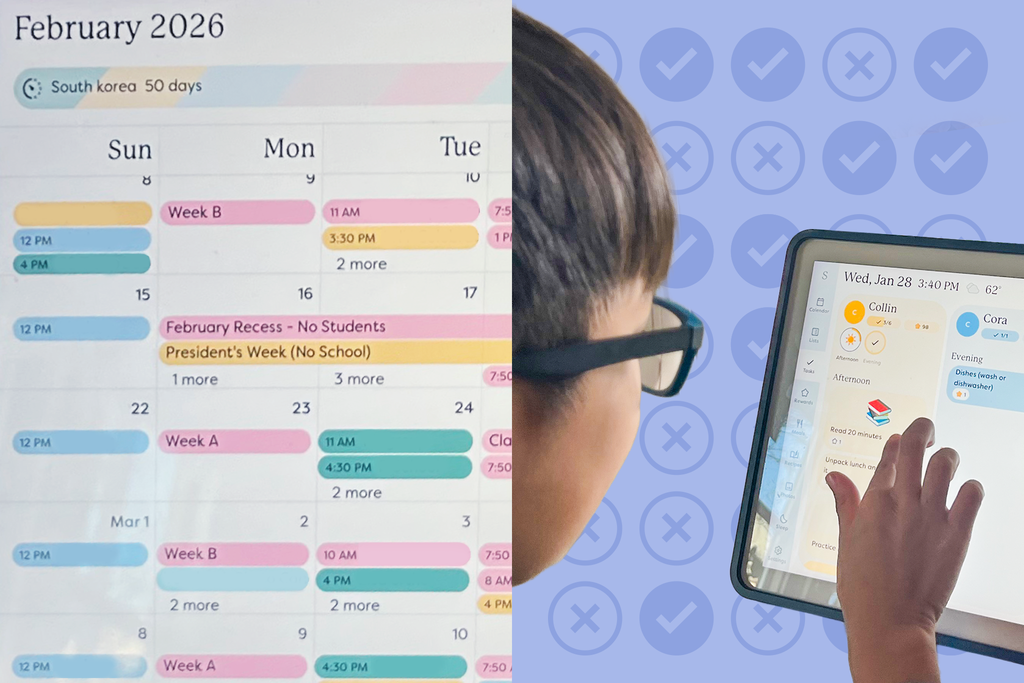 What Makes the Skylight Calendar Stand Out? - visual representation
