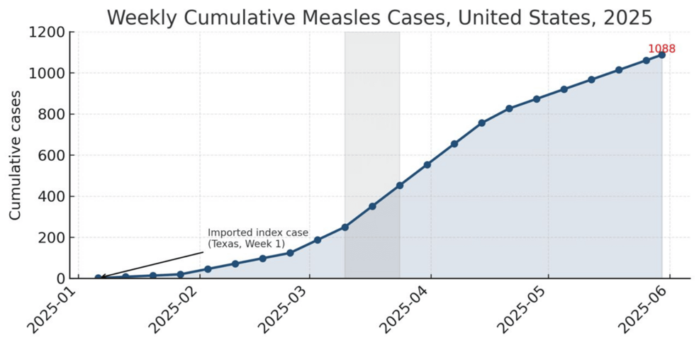 The Role of Healthcare Providers - visual representation