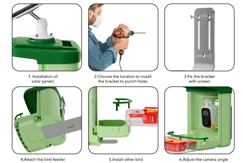 Setting Up Your Video Bird Feeder: A Step-by-Step Guide - contextual illustration