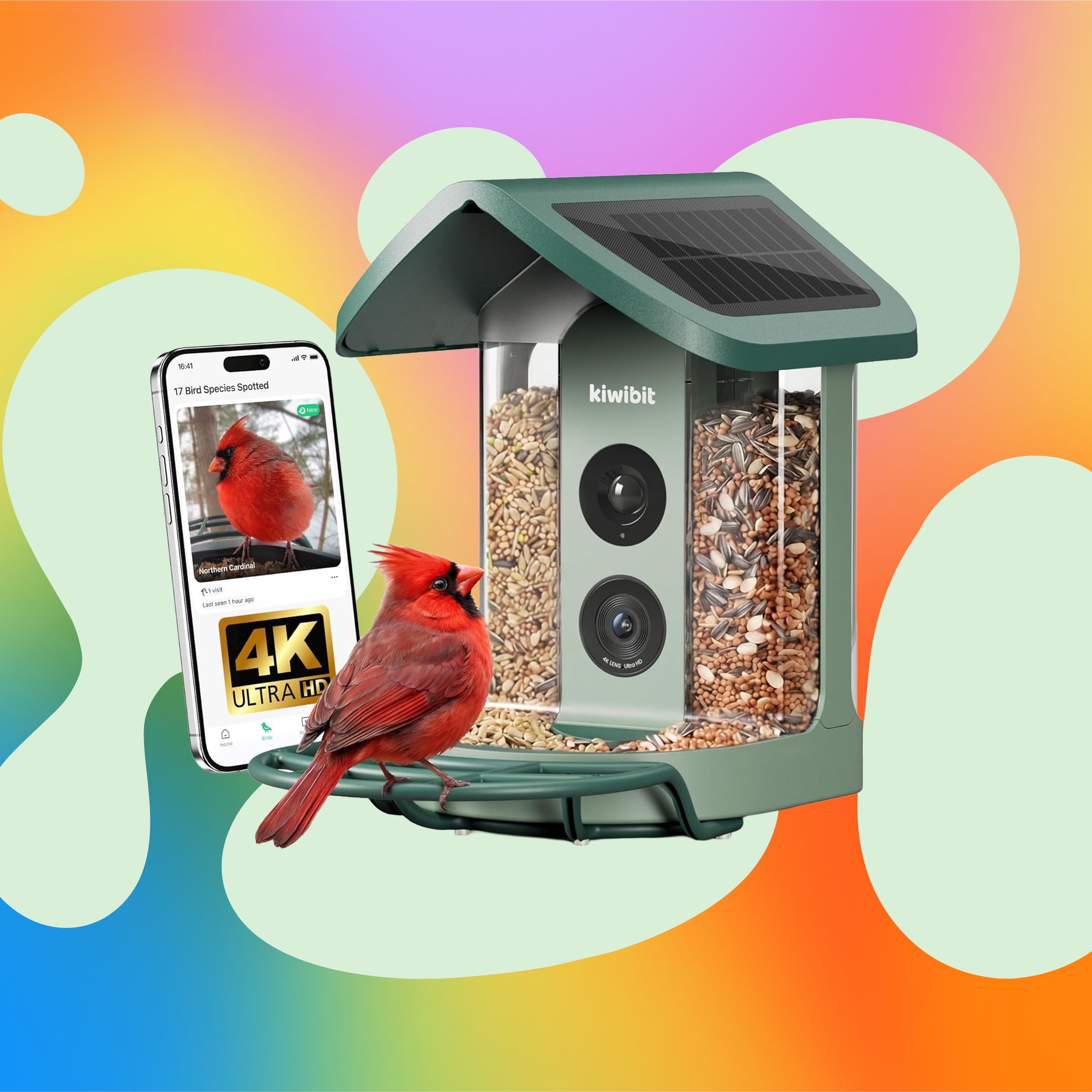 Why Video Bird Feeders Became a Prime Day Sensation - contextual illustration