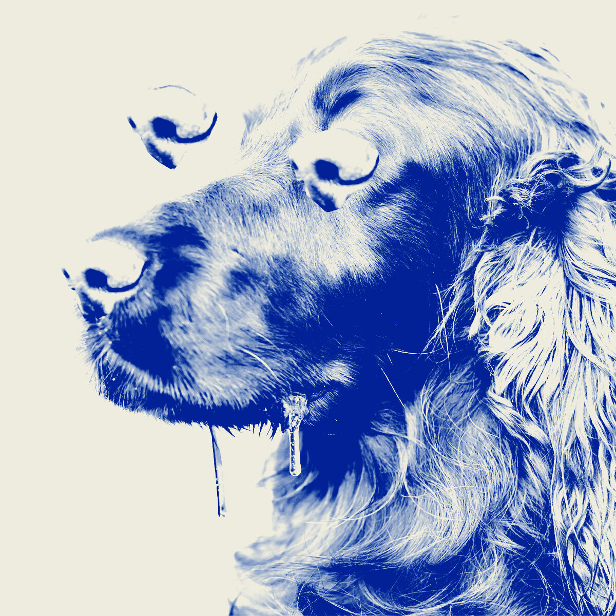 What 2016 Represents Psychologically - visual representation