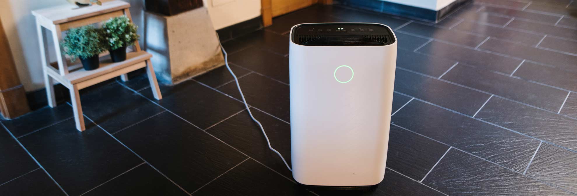 Long-Term Home Improvements Beyond Dehumidifiers - visual representation