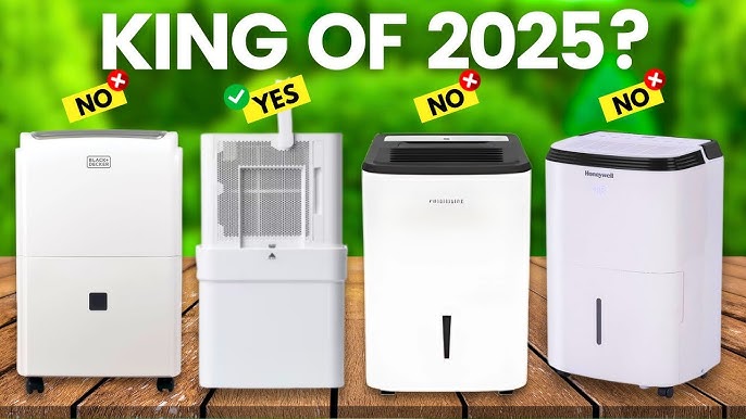 What Dehumidifiers Can't Do - visual representation