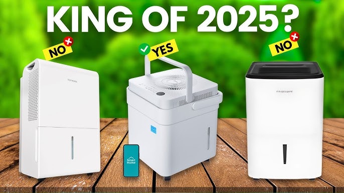 Choosing Between Popular Types and Models - visual representation