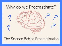 Reframing Procrastination: From Failure to Signal - visual representation