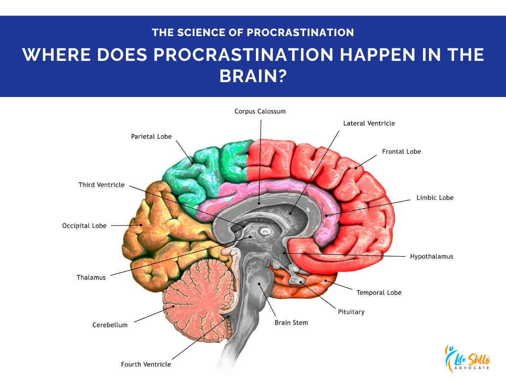 Technological Solutions and Behavioral Design - visual representation