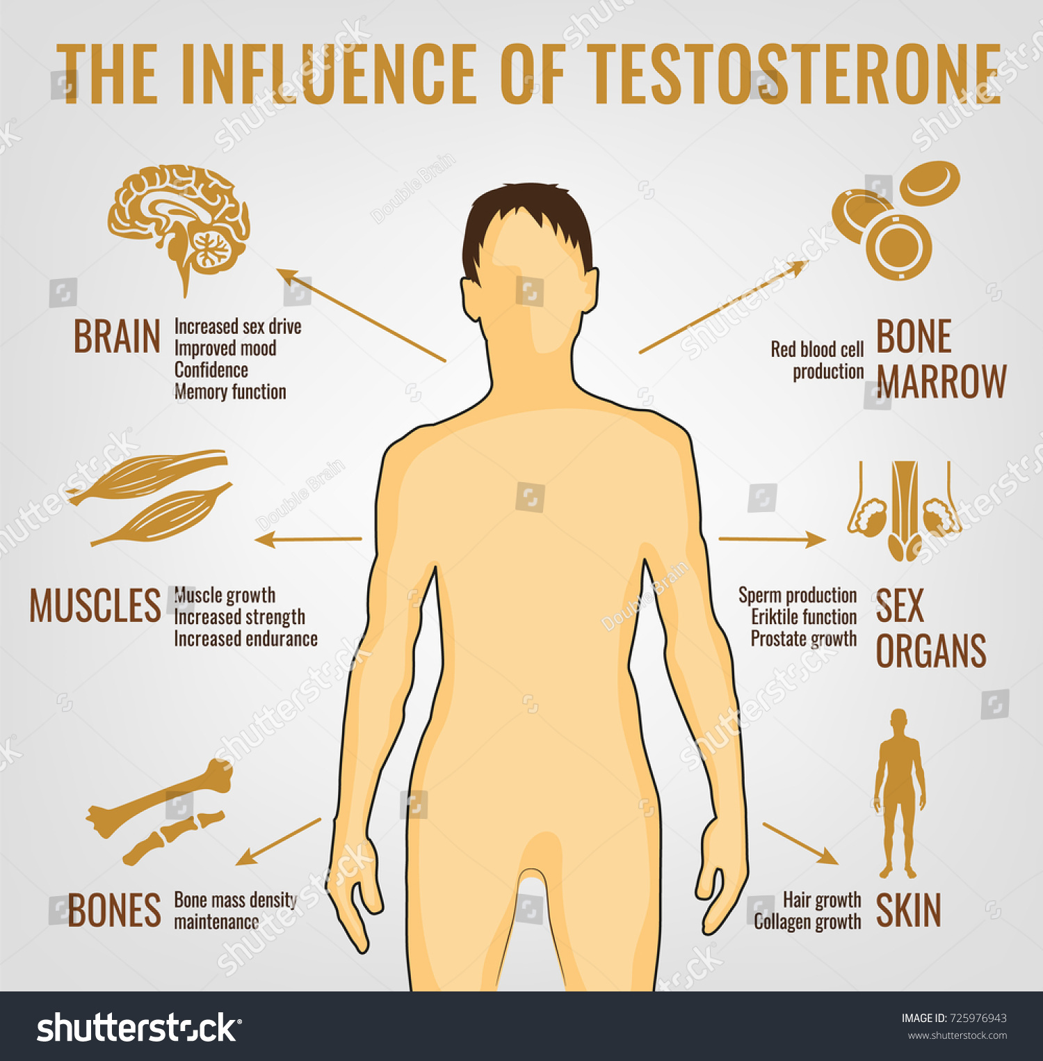 Conclusion - visual representation