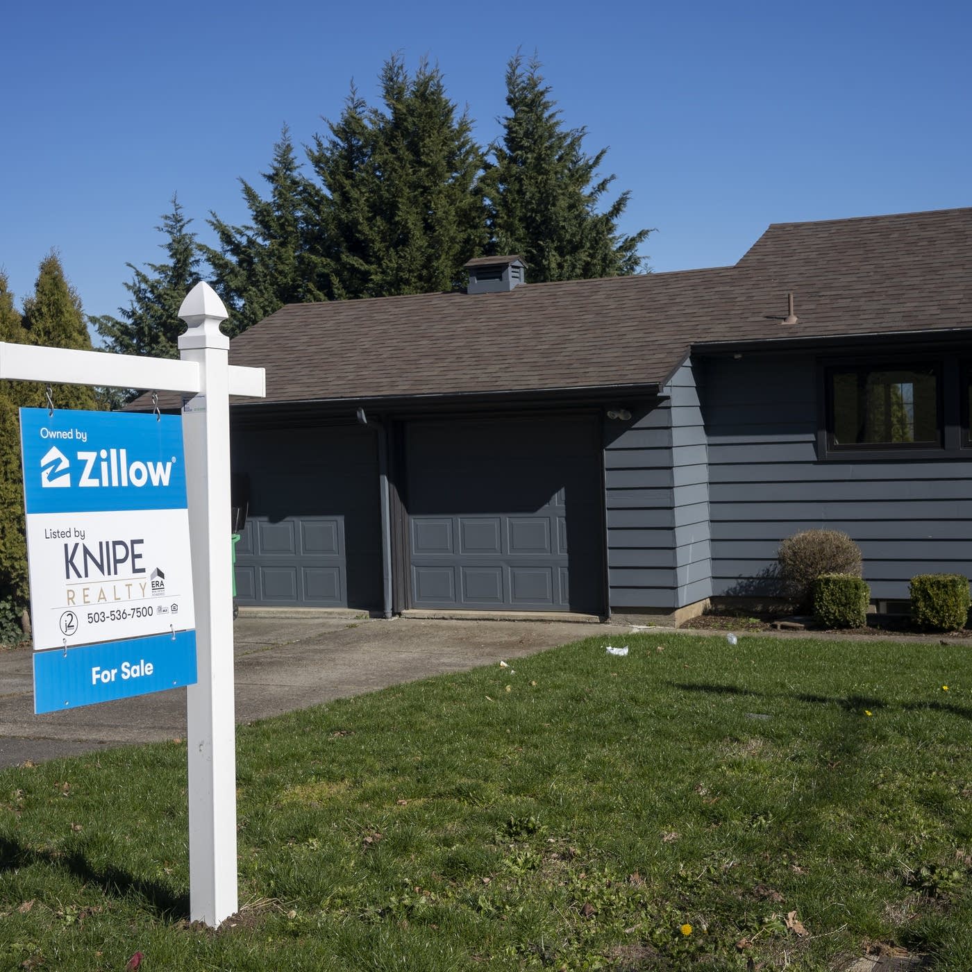 Building Resilience Through Information Access - visual representation