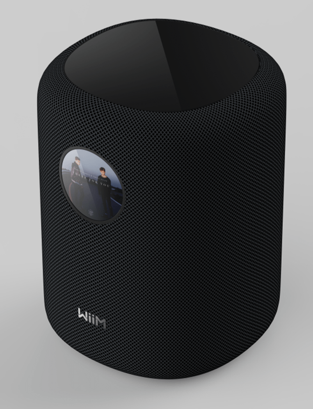 Introduction: Why Wii M's Entry Into Wireless Speakers Matters - visual representation