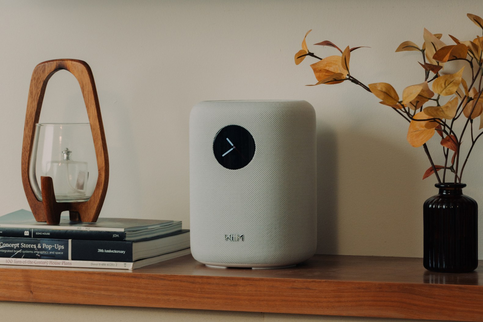 Advanced Features and Software Capabilities Roadmap - visual representation