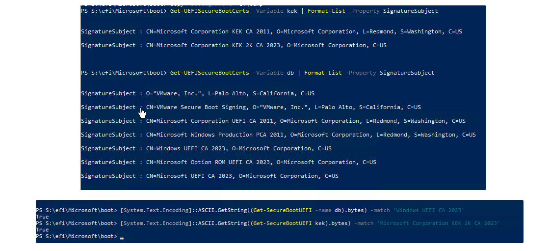 Market Share Shifts: Windows 11 Finally Takes the Lead - visual representation