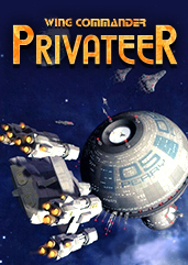 The Games That Captured Privateer's Spirit - visual representation