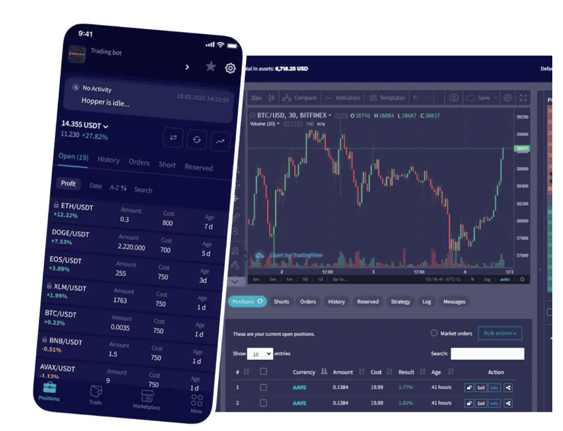 Conclusion - visual representation