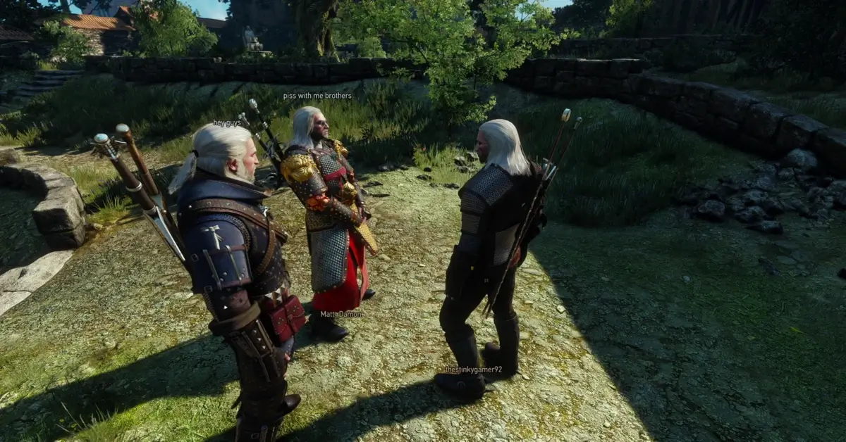 The Modding Ecosystem Around Witcher Online - visual representation