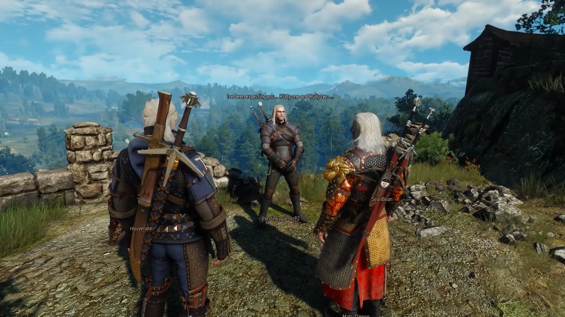 What Exactly Is Witcher Online? - contextual illustration