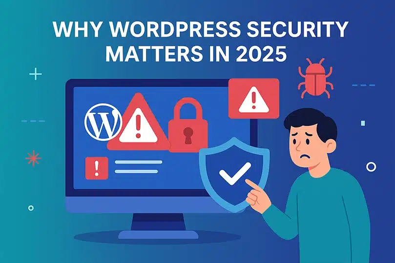 The Broader WordPress Plugin Ecosystem Challenge - visual representation