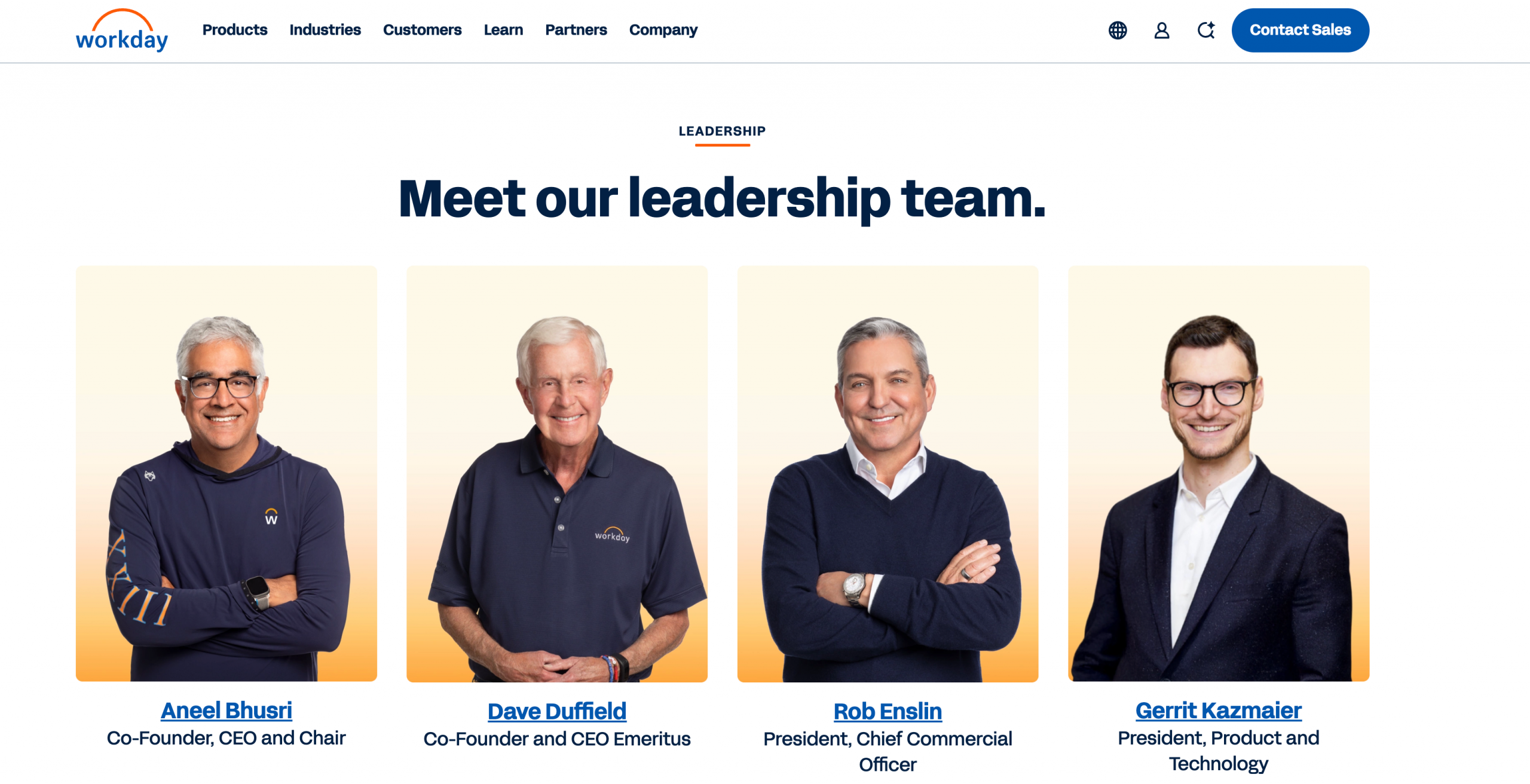 Risks and Challenges Bhusri Will Face - visual representation