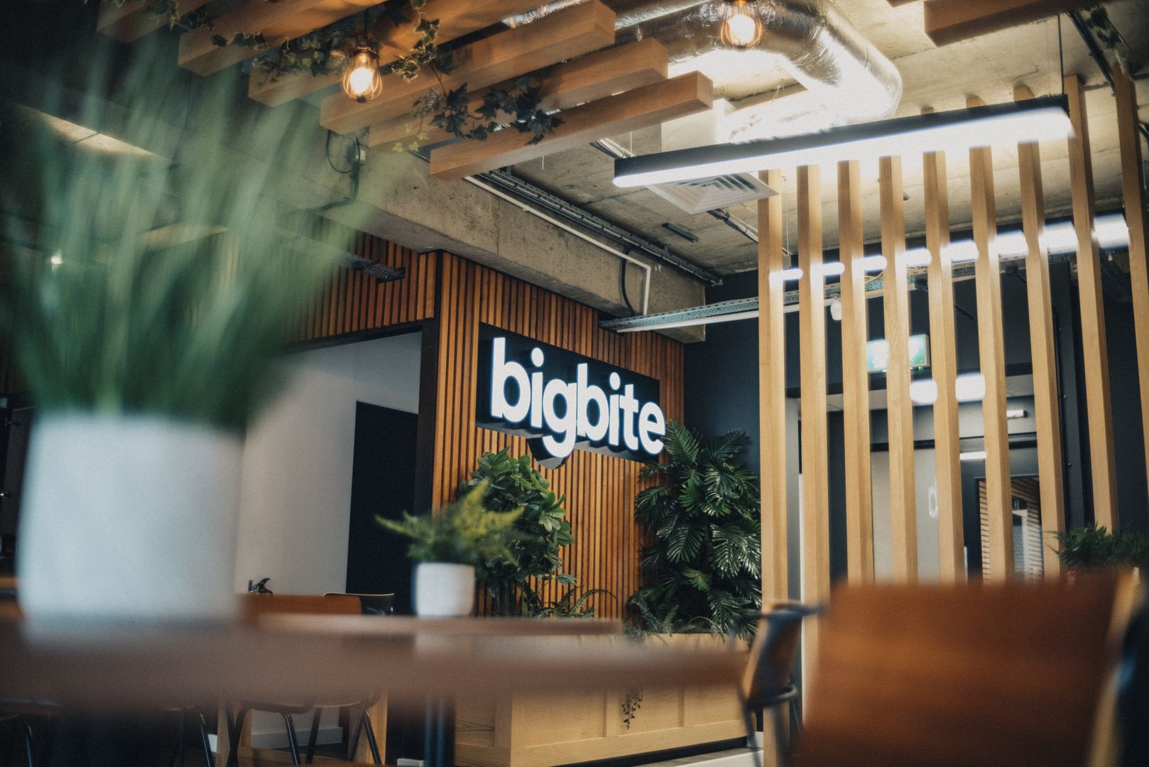 The Enterprise Publishing Market: Is Word Press Ready - visual representation