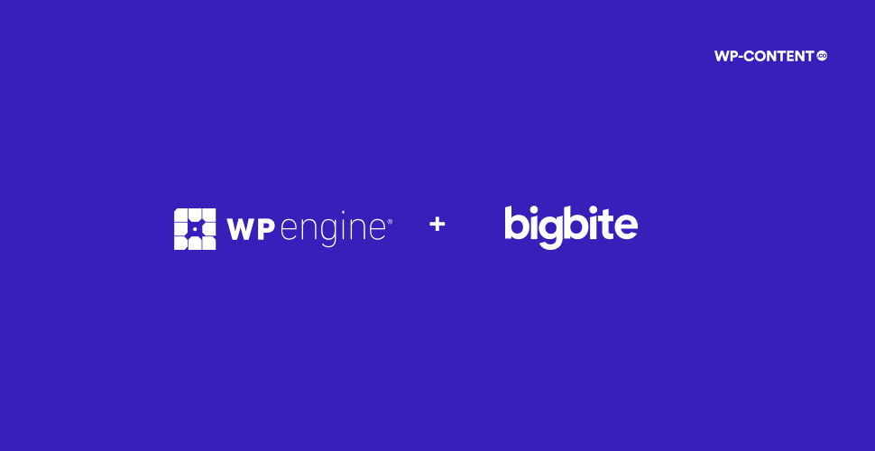 The Agency Industry Response: What This Means for Word Press Agencies - visual representation