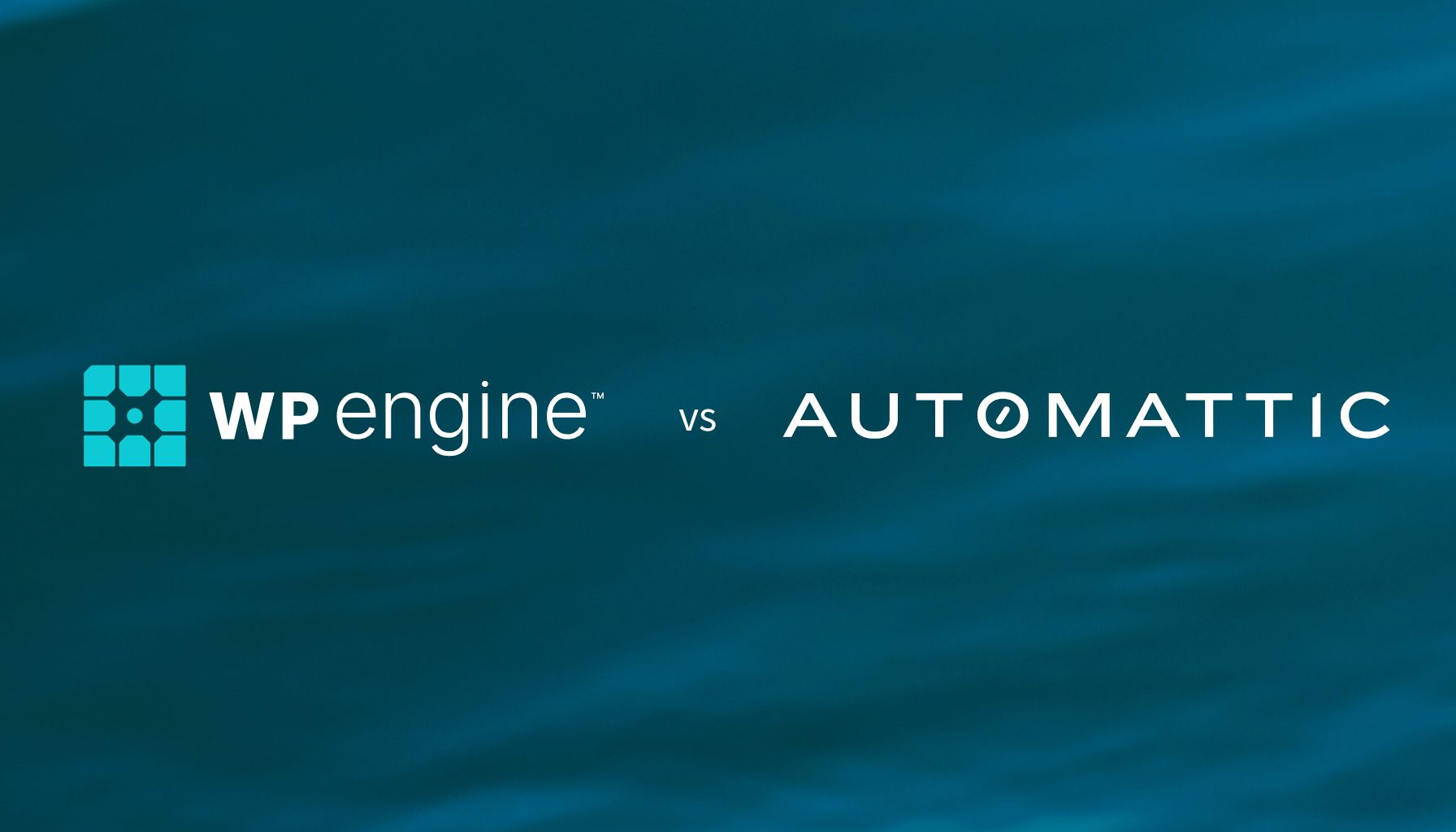 The Stripe Interference Allegation: Cutting Off Payment Processing - visual representation