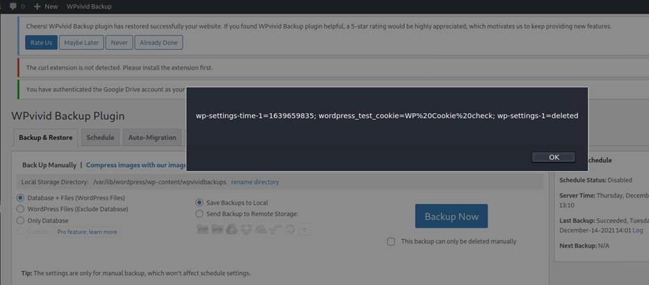 Prevention: Building a Resilient WordPress Security Strategy - visual representation