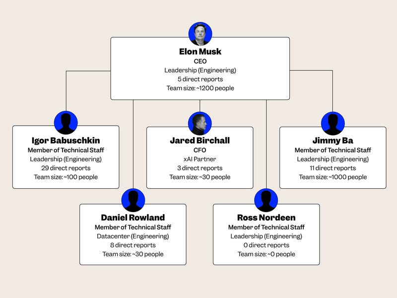 Introduction: The Unraveling of a Dream Team - visual representation