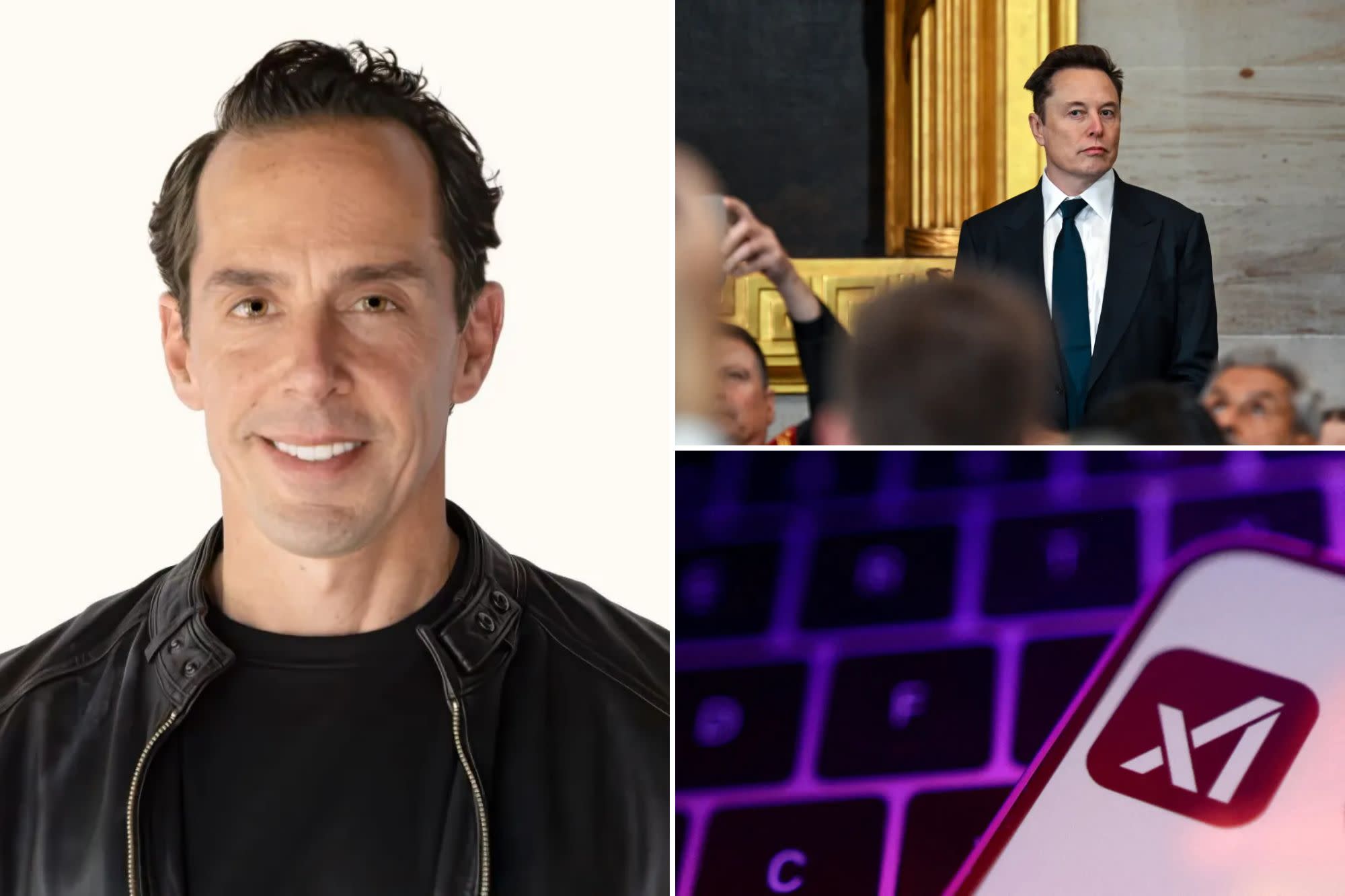 The IPO Factor: Timing and Risk - visual representation