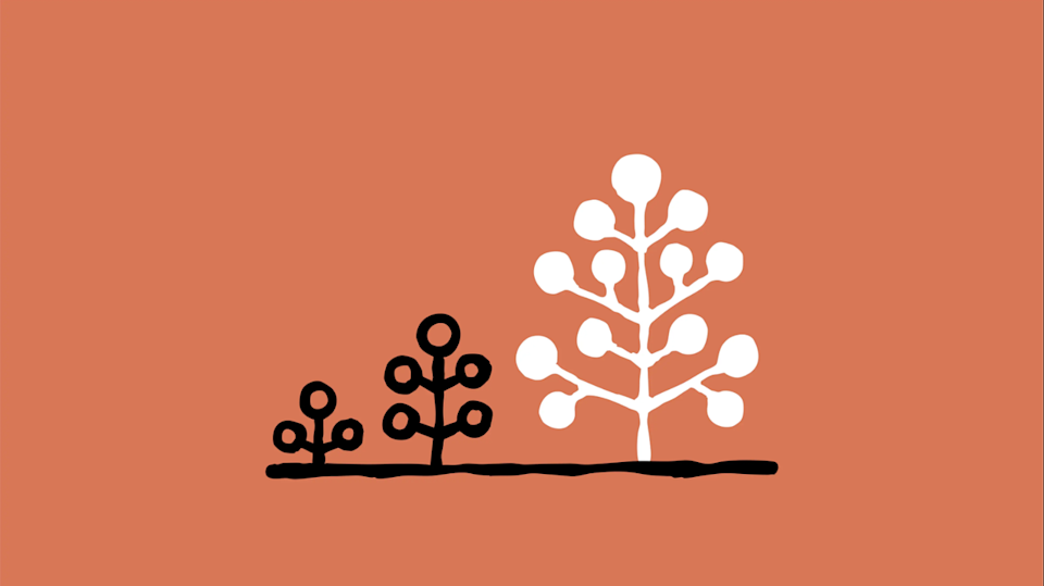 Implementation Lessons from Early Adopters - visual representation