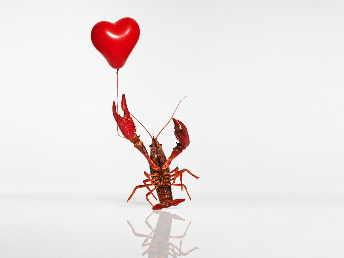 Yep, we're using OpenClaw to date now | TechCrunch