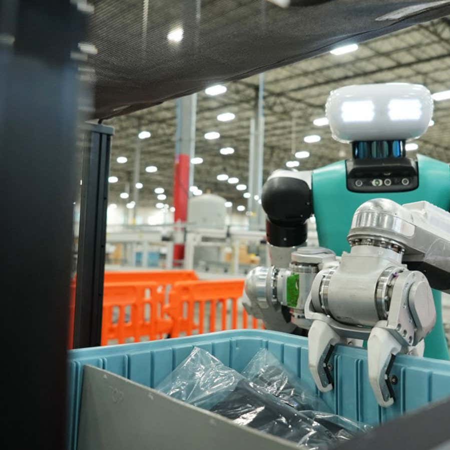 The Bottom Line - visual representation