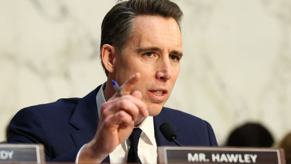 Section 230 and the Novel Legal Strategy - visual representation